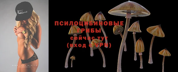 спайс Вязники