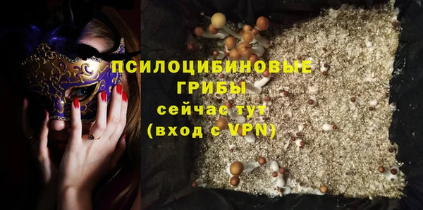 соль ск Вяземский