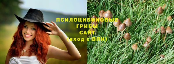 соль ск Вяземский