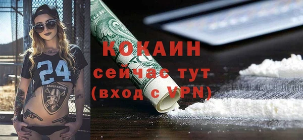 соль ск Вяземский