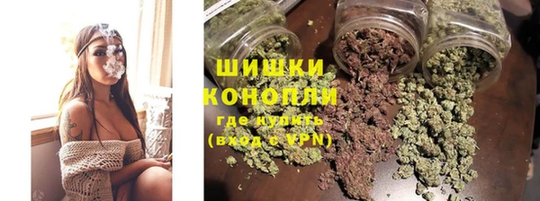соль ск Вяземский