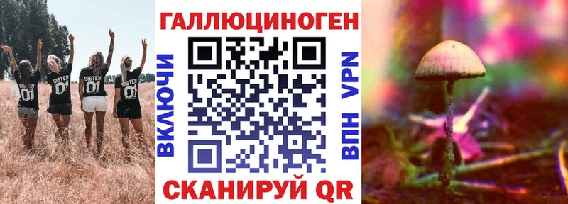 Галлюциногенные грибы GOLDEN TEACHER Магас